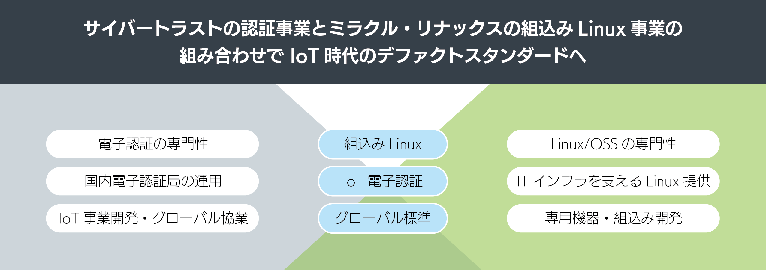 サイバートラスト事業領域