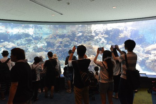 水族館